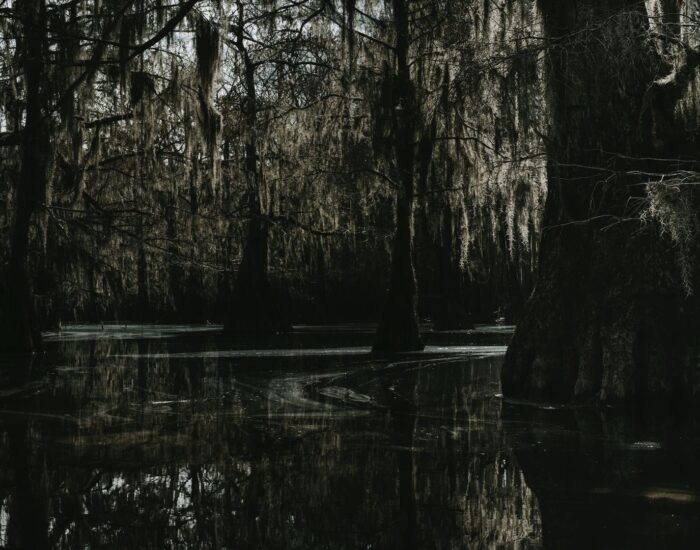 Forged in the Murk: How New Orleans Sludge Metal Crossed the Hardcore Threshold