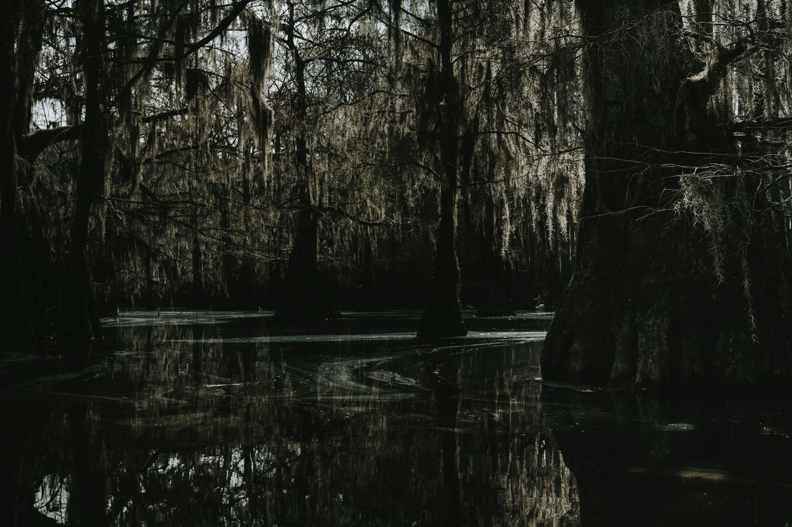 Forged in the Murk: How New Orleans Sludge Metal Crossed the Hardcore Threshold